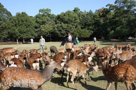 时代美容美发化妆学?？瓮馍? width=